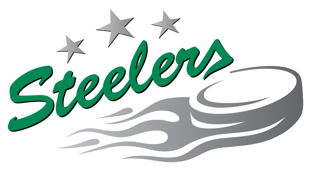 1200px-Bietigheim_Steelers_logo.svg