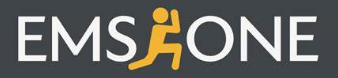 EMS ONE logo