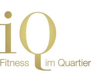 iQ-Logo